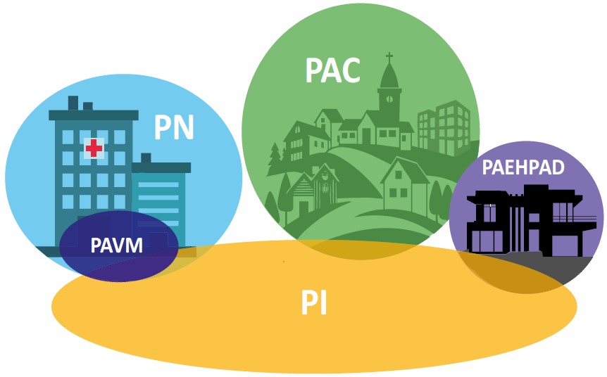 Figure 1 : Classification des pneumonies aiguës.